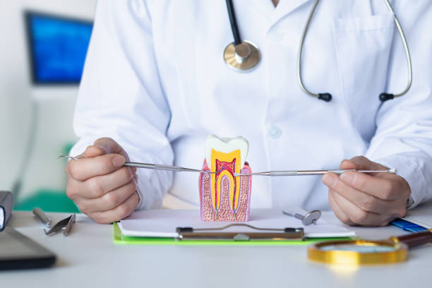 Best Emergency Wisdom Tooth Extraction in Orida City, FL